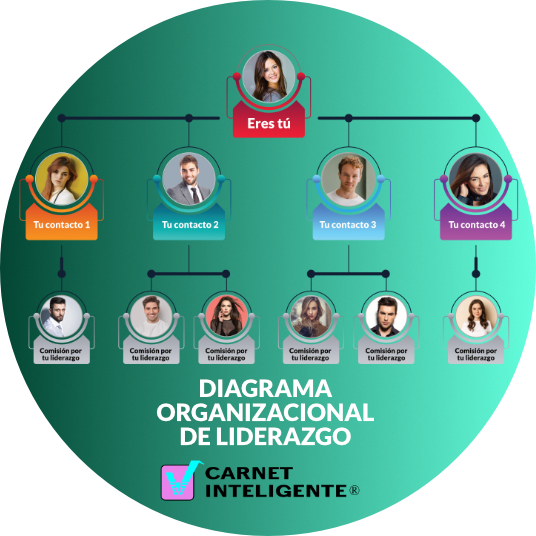 Diagrama organizacional de liderazgo